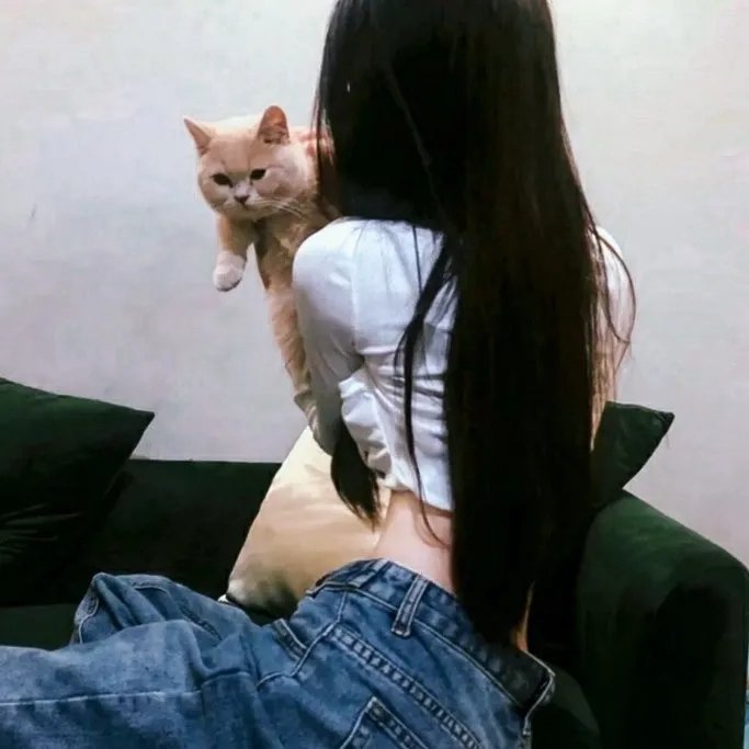 副总统第三季